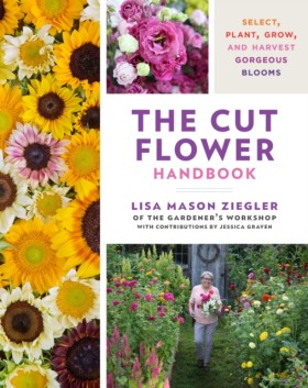 The Cut Fl …