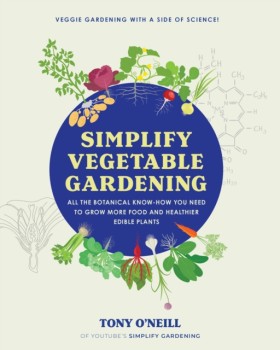 Simplify V …