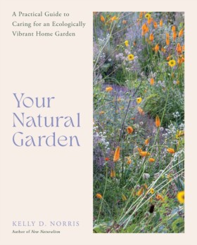 Your Natur …