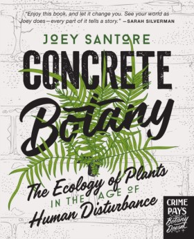 Concrete B &hellip;