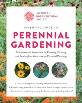 Essential &hellip;