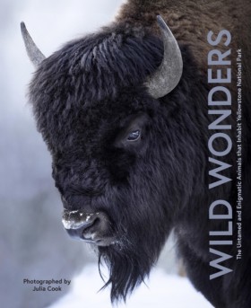 Wild Wonde …