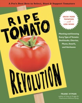 Ripe Tomat &hellip;
