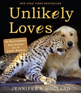 Unlikely L &hellip;