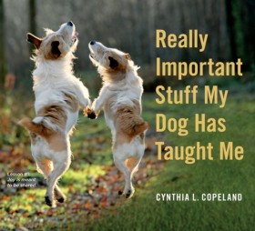 Really Imp …