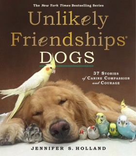 Unlikely F …