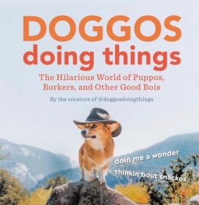 Doggos Doi …