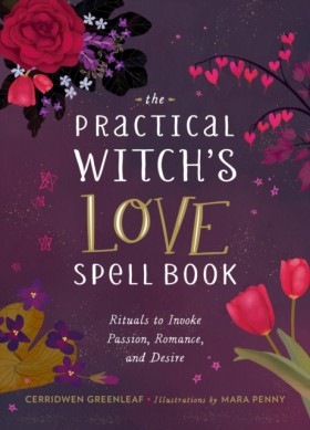 The Practi …