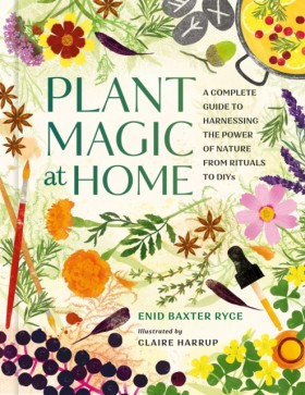 Plant Magi …