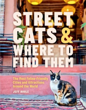 Street Cat &hellip;