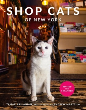 Shop Cats &hellip;