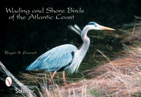 Wading & S &hellip;