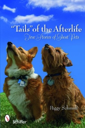 Tails of t &hellip;