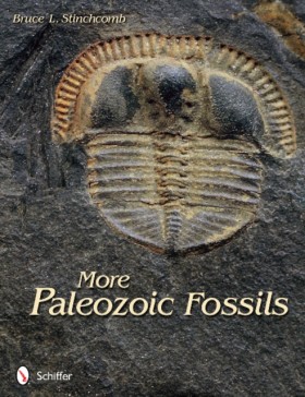 More Paleo &hellip;