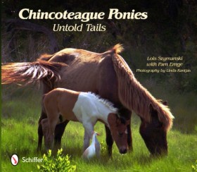 Chincoteag &hellip;