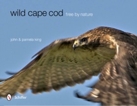Wild Cape …