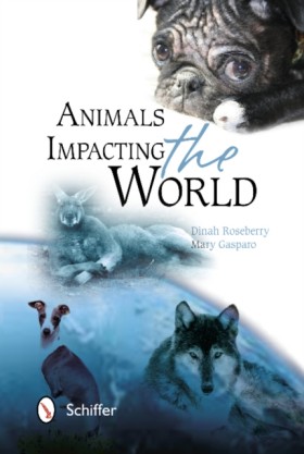 Animals Im …