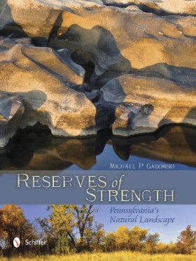 Reserves o …