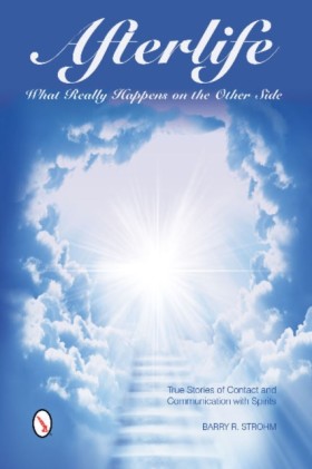 Afterlife: …