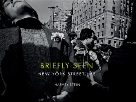 Briefly Se …