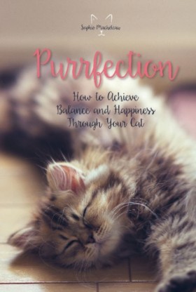 Purrfectio …