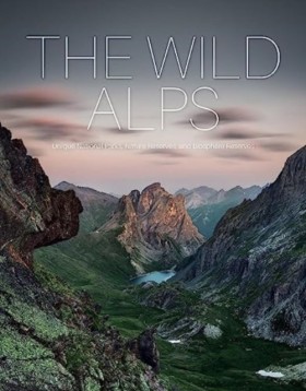 The Wild A &hellip;