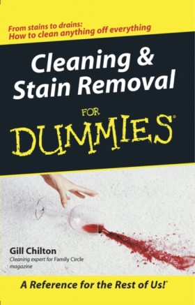 Cleaning a &hellip;