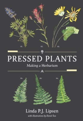 Pressed Pl &hellip;