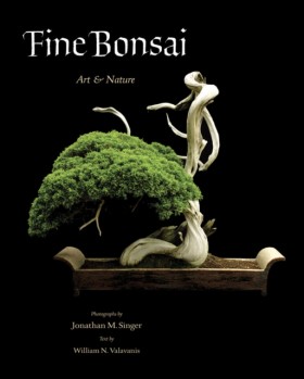 Fine Bonsa &hellip;