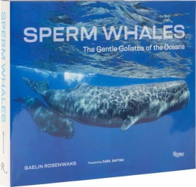 Sperm Whal &hellip;