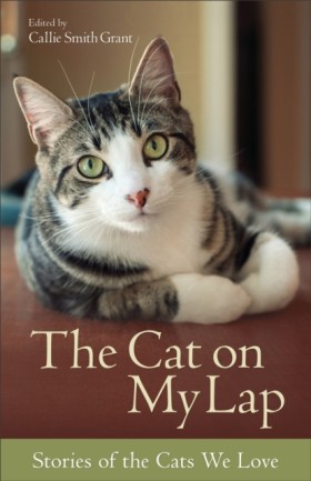 The Cat on …