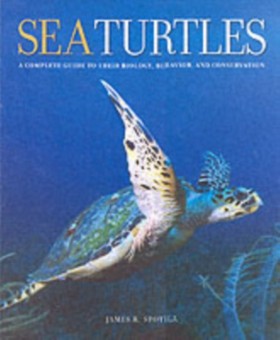 Sea Turtle …