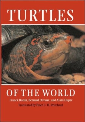 Turtles of &hellip;