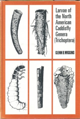 Larvae of &hellip;