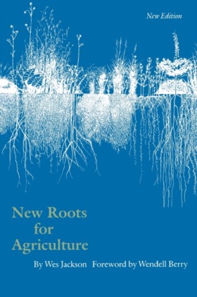 New Roots &hellip;