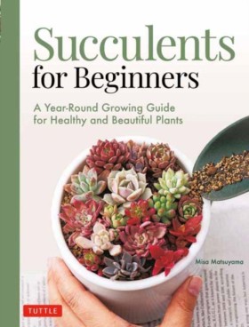 Succulents …