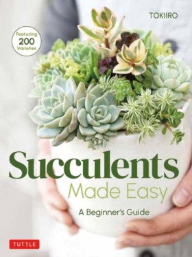 Succulents …