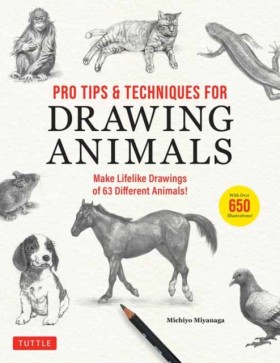 Pro Tips & …