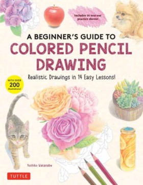 A Beginner &hellip;