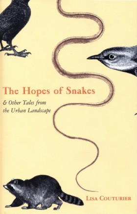 The Hopes &hellip;