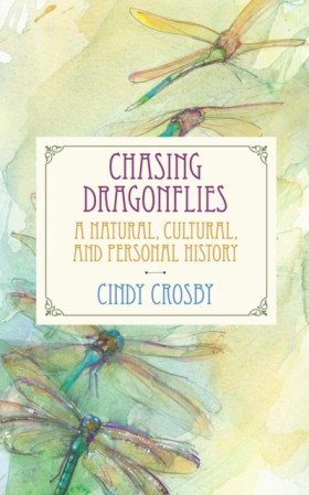 Chasing Dr &hellip;