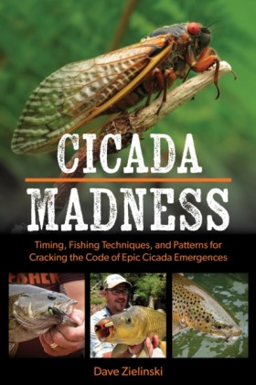 Cicada Mad &hellip;