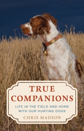True Compa &hellip;