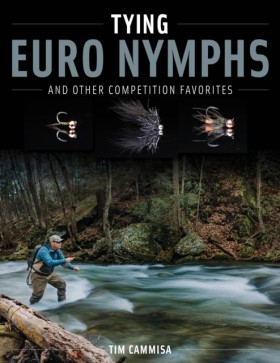 Tying Euro …