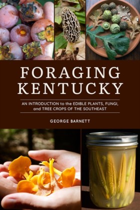 Foraging K &hellip;