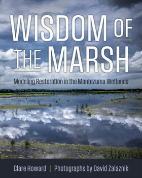 Wisdom of &hellip;