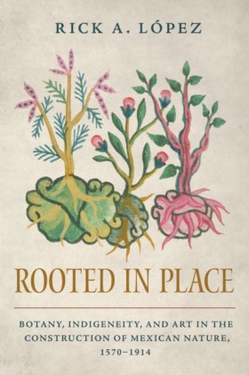 Rooted in …