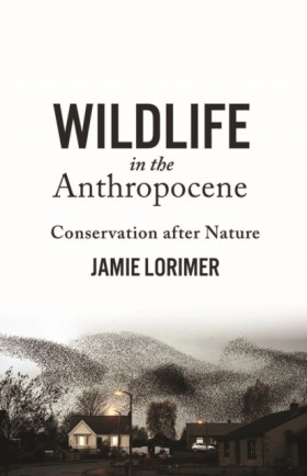 Wildlife i &hellip;