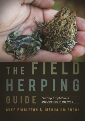 The Field &hellip;