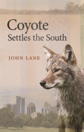 Coyote Set …